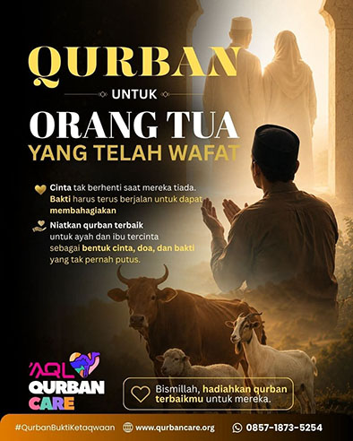 The Unseen Reward: Menelusuri Jejak Kebaikan di Setiap Helai Bulu Hewan Kurban ibn5.jpg