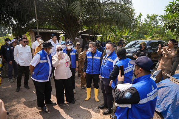 Laksanakan Instruksi Presiden, KLH Segel 50 Badan Usaha Akibat Puluhan Ribu Hektare Lahan klh.png