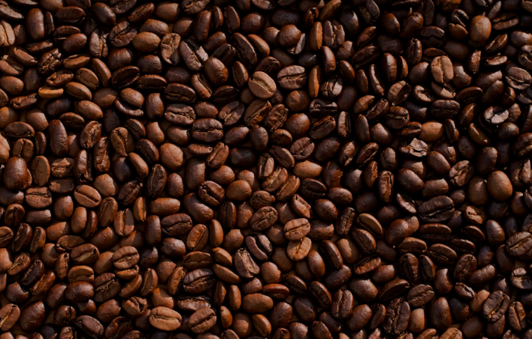 Nara Coffee: Menemukan Kedamaian dan Secangkir Kopi Estetik di Tengah Kota