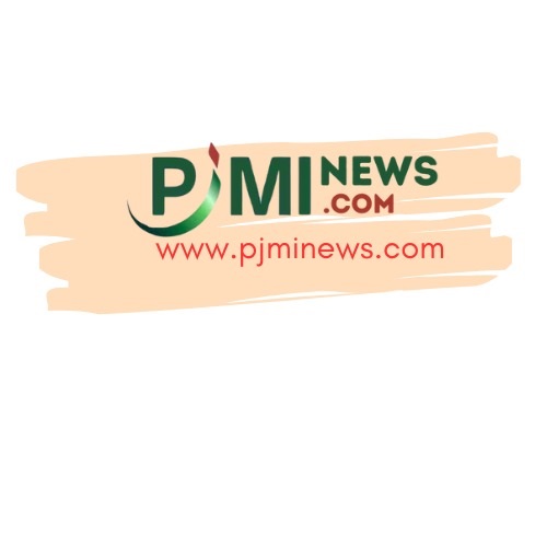 logo_pjminews.jpg
